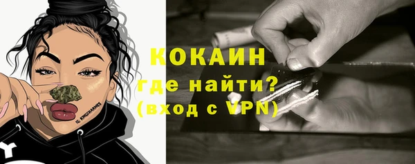 мет Алексин
