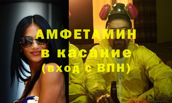 мет Алексин
