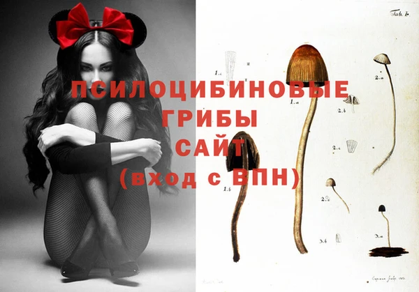a pvp Алзамай