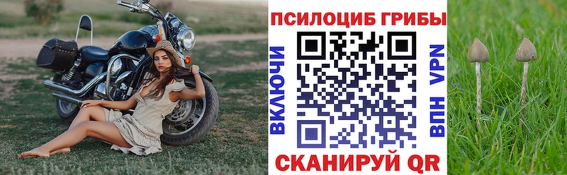 Галлюциногенные грибы Psilocybe цена наркотик Долинск